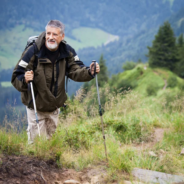 Caminhadas seniores ativas em altas montanhas (Alpes suíços ) — Fotografia de Stock
