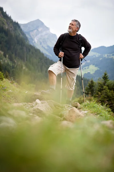 Aktywny senior piesze wycieczki w góry wysokie (Alpy Szwajcarskie) — Zdjęcie stockowe