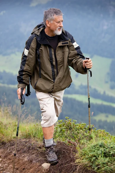 Aktives Seniorenwandern im Hochgebirge (Schweizer Alpen)) — Stockfoto