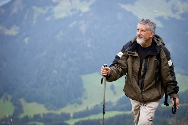 Active senior hiking in high mountains (Swiss Alps) — Stock Photo, Image
