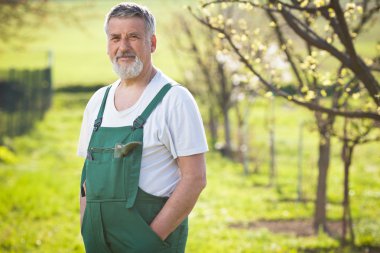 Bahçe/meyve bahçesi içinde üst düzey bir bahçıvan portresi