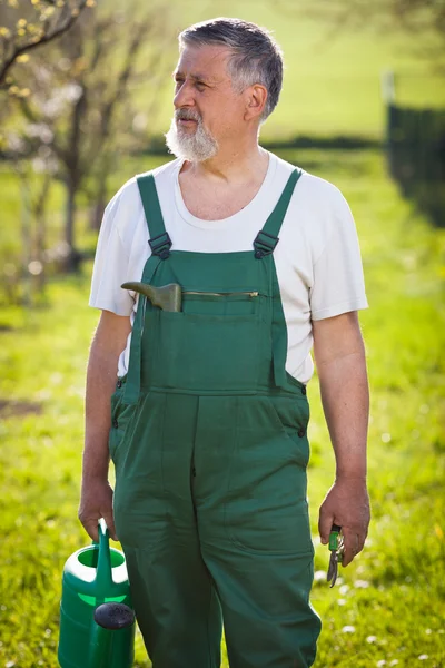 Portrét starší zahradníka ve své zahradě/sadu — Stock fotografie