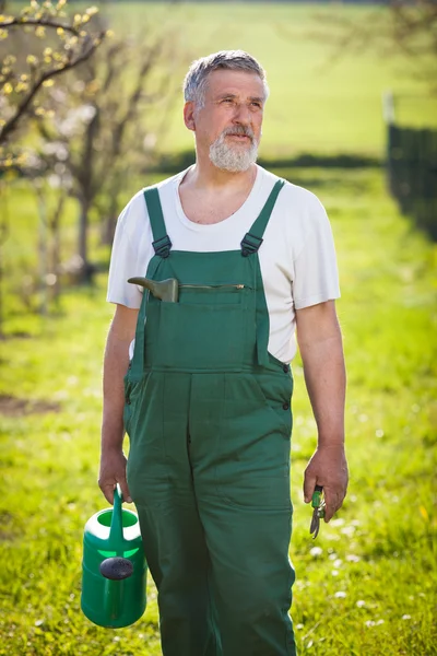 Portrét starší zahradníka ve své zahradě/sadu — Stock fotografie