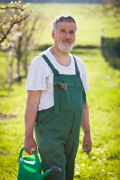 Retrato de un jardinero mayor en su jardín / huerto — Foto de Stock