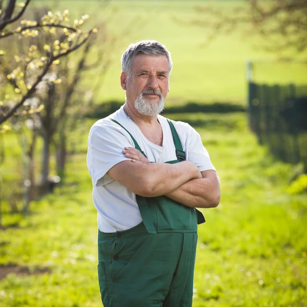 Portrait of a senior gardener in his garden/orchard — Stock Photo, Image