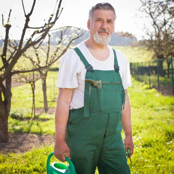 Ritratto di un giardiniere anziano nel suo giardino / frutteto — Foto Stock