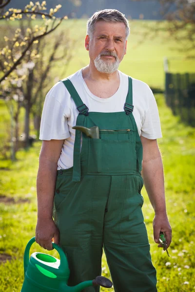 Retrato de um jardineiro sênior em seu jardim / pomar — Fotografia de Stock