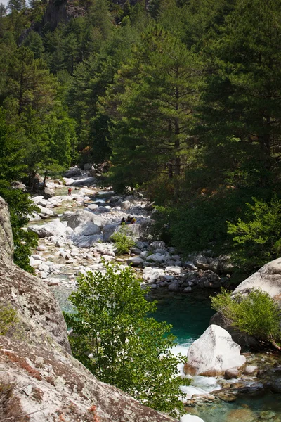 Im Landesinneren Korsikas, herrliches Restonica-Tal - mit natürlichen Pools, — Stockfoto