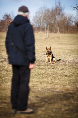 Master ve itaatkâr (Alman kurdu) köpeği