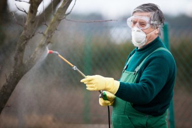 Using chemicals in the garden/orchard clipart