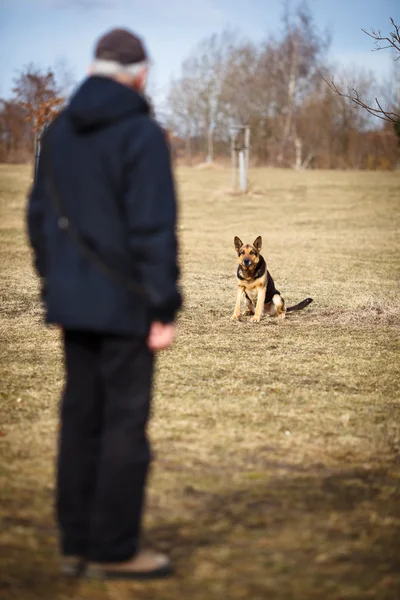 Maestro y su obediente (pastor alemán) perro —  Fotos de Stock