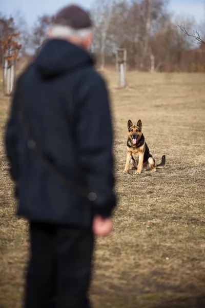 Mestre e seu cão obediente (pastor alemão) — Fotografia de Stock