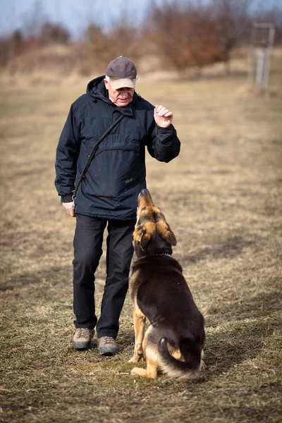 Мастер и его послушная собака (немецкая овчарка) — стоковое фото