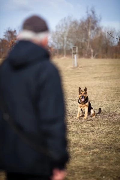 Meester en zijn gehoorzaam (Duitse herder) hond — Stockfoto