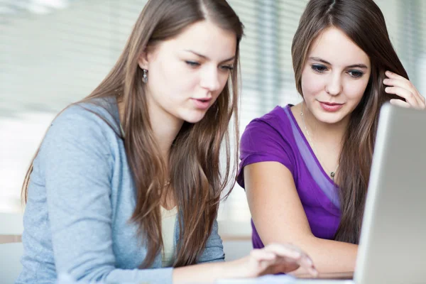 Due studentesse che lavorano su un computer portatile durante — Foto Stock