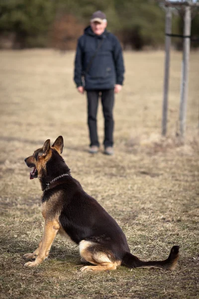 Mester és az ő engedelmes (német) juhászkutya — Stock Fotó