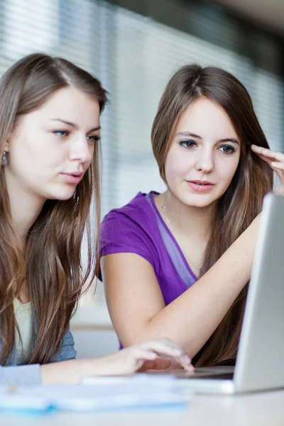 Two female college students working on a laptop computer during — Stock Photo, Image