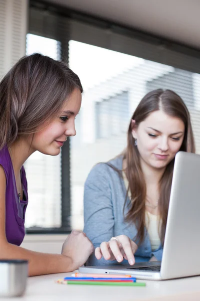 Twee vrouwelijke studenten werken op een laptopcomputer tijdens — Stockfoto