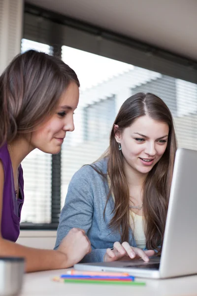 Twee vrouwelijke studenten werken op een laptopcomputer tijdens — Stockfoto