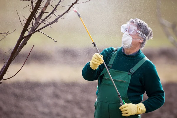 Usando produtos químicos no jardim / pomar — Fotografia de Stock