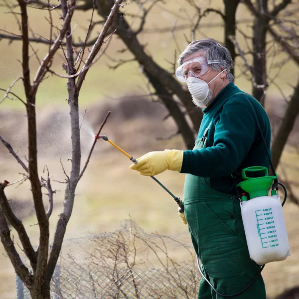 Gebruik van chemische stoffen in de tuin/boomgaard — Stockfoto