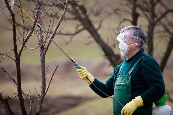 stock image Using chemicals in the garden/orchard