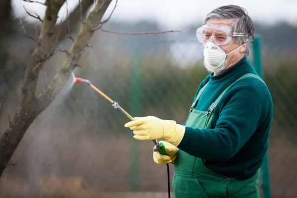 Using chemicals in the garden/orchard — Stock Photo, Image