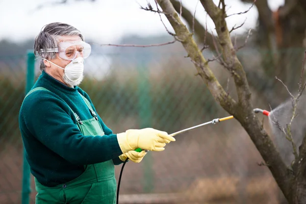 Using chemicals in the garden / orchard — стоковое фото