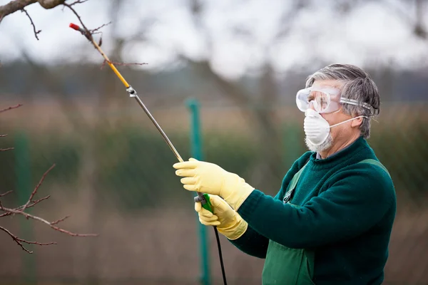 Using chemicals in the garden / orchard — стоковое фото