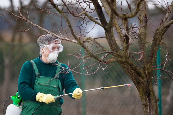 Gebruik van chemische stoffen in de tuin/boomgaard — Stockfoto