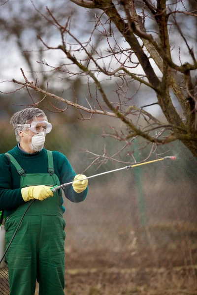 Using chemicals in the garden/orchard — Stock Photo, Image