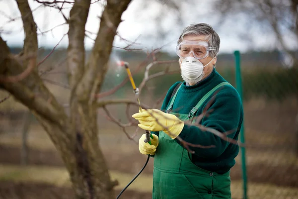 Gebruik van chemische stoffen in de tuin/boomgaard — Stockfoto