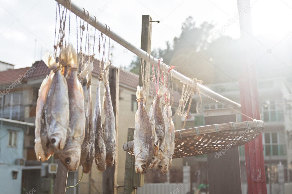 Salted fishes under sunlight