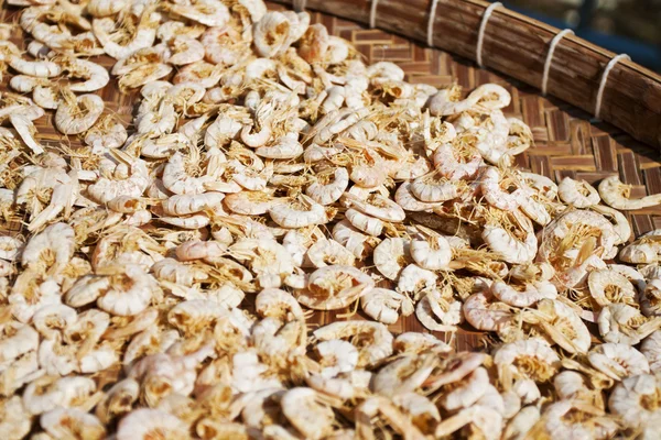 Dried shrimps — Stock Photo, Image