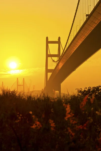 Tsing ma-bron i hong kong i solnedgången — Stockfoto