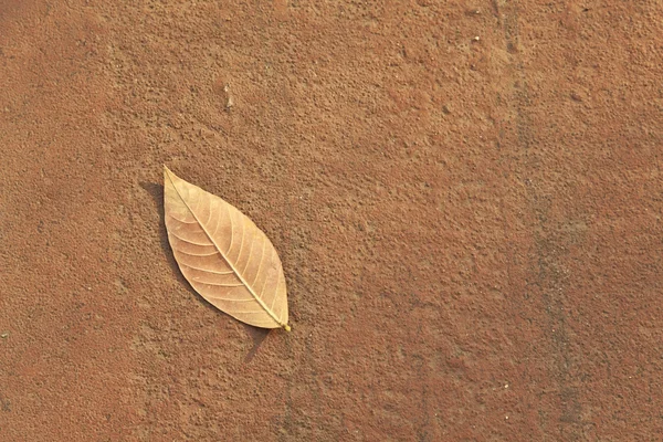 Yellow leaf background — Stock Photo, Image