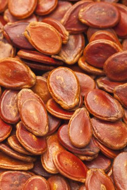 Red melon seeds in dry condition clipart