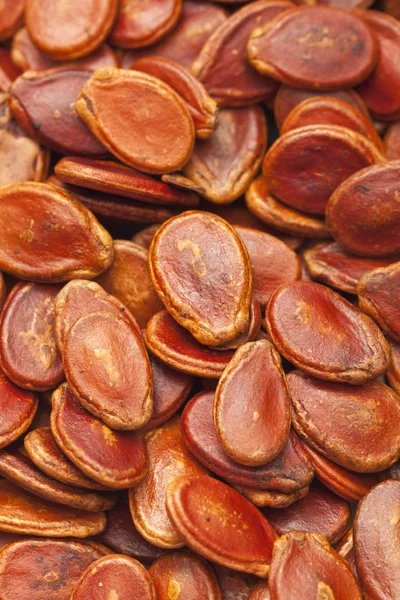 Red melon seeds in dry condition — Stock Photo, Image