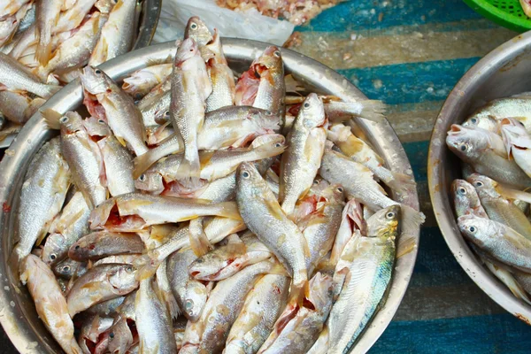 市場に出てくる新鮮な魚は — ストック写真