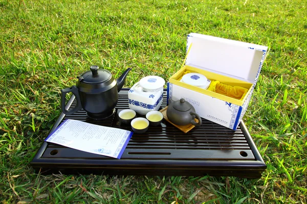 Азиатский чайный сервиз на травах — стоковое фото