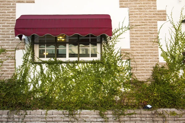 Luxe venster en muur in een tuin — Stockfoto