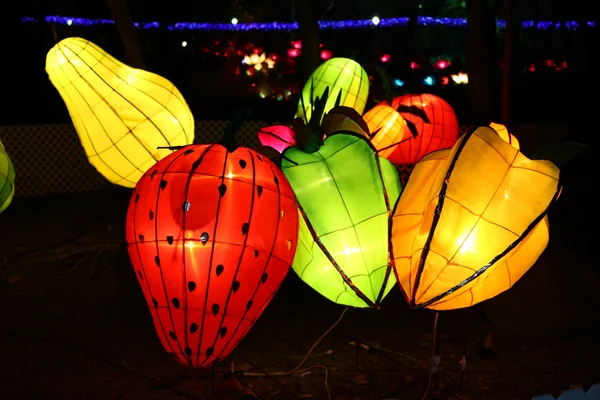 Китайський Новий рік ліхтар карнавал — стокове фото