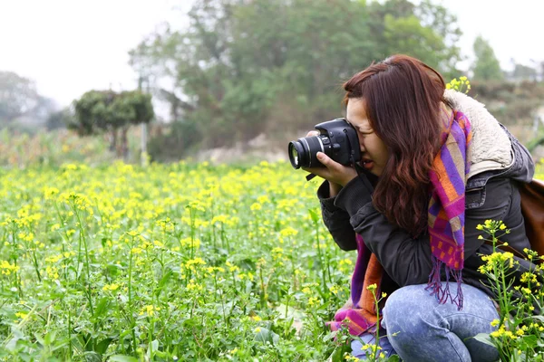 Fotógrafa feminina em campo — Fotografia de Stock
