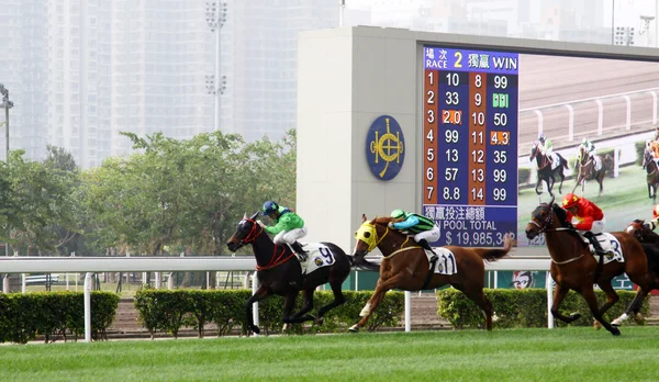 stock image Cathay Pacific Hong Kong International Races