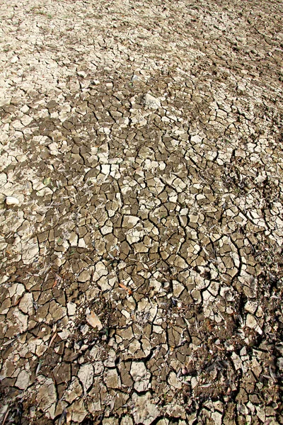 Dried land cracks in desert — Stock Photo, Image