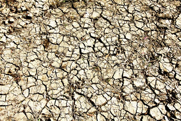 Grietas de tierra seca en el desierto — Foto de Stock