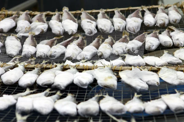 Getrocknete Fische in der chinesischen Kultur — Stockfoto