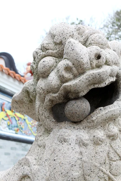 Hong Kong Tapınağı dışında aslan heykeli — Stok fotoğraf