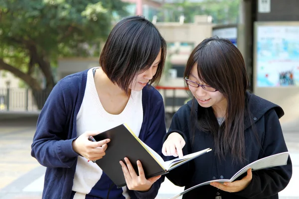 Estudiantes asiáticos estudiando y discutiendo en la universidad Imagen De Stock