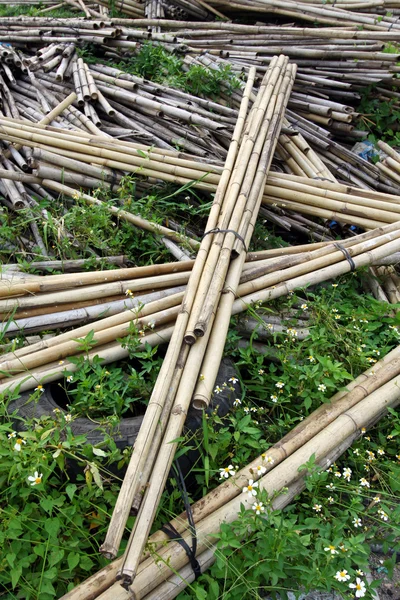 Pacote de talos de bambu no chão — Fotografia de Stock
